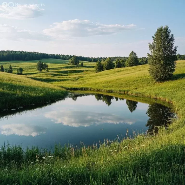 Участок в Пермский край, Ильинский муниципальный округ, Сретенский ... - Фото 2