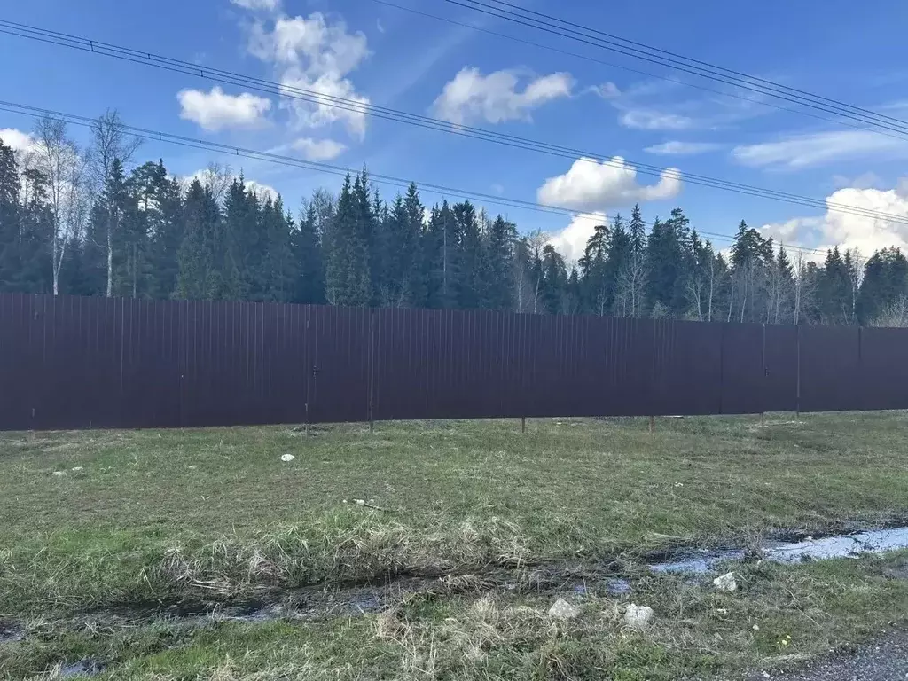 Участок в Московская область, Щелково городской округ, Заозерный СНТ  ... - Фото 1