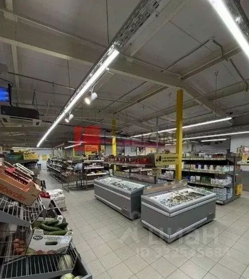 Помещение свободного назначения в Московская область, Истра ... - Фото 1