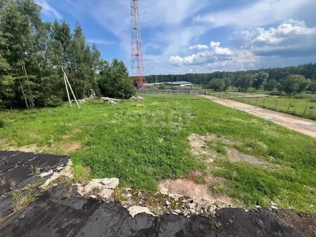 Участок в Владимирская область, Покров городской округ, д. Панфилово  ... - Фото 0