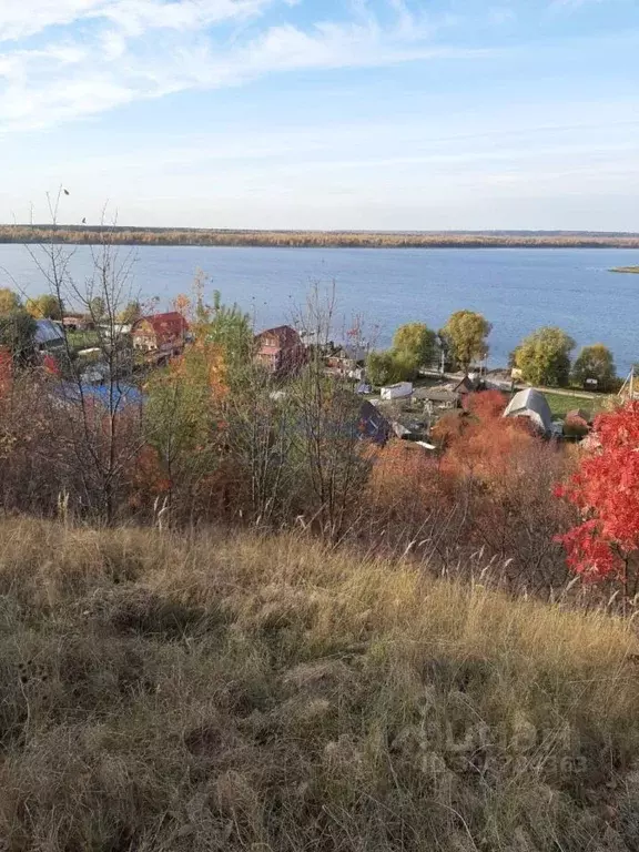 Участок в Нижегородская область, Лысковский район, с. Бармино Полевая ... - Фото 1