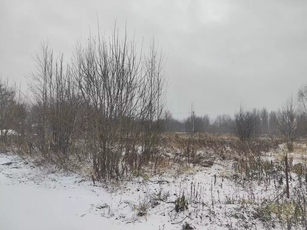 Участок в Московская область, Ликино-Дулево Орехово-Зуевский городской ... - Фото 2