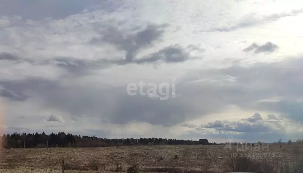 Участок в Вологодская область, д. Киндеево ул. Южная (12.0 сот.) - Фото 0