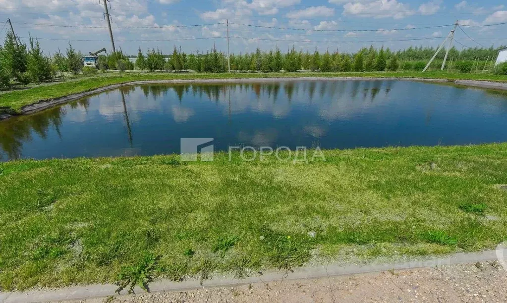 Участок в Новосибирская область, Новосибирский район, Березовский ... - Фото 1