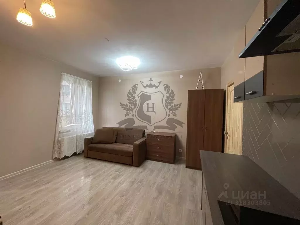 Студия Санкт-Петербург пос. Шушары, Школьная ул., 15 (25.0 м) - Фото 1