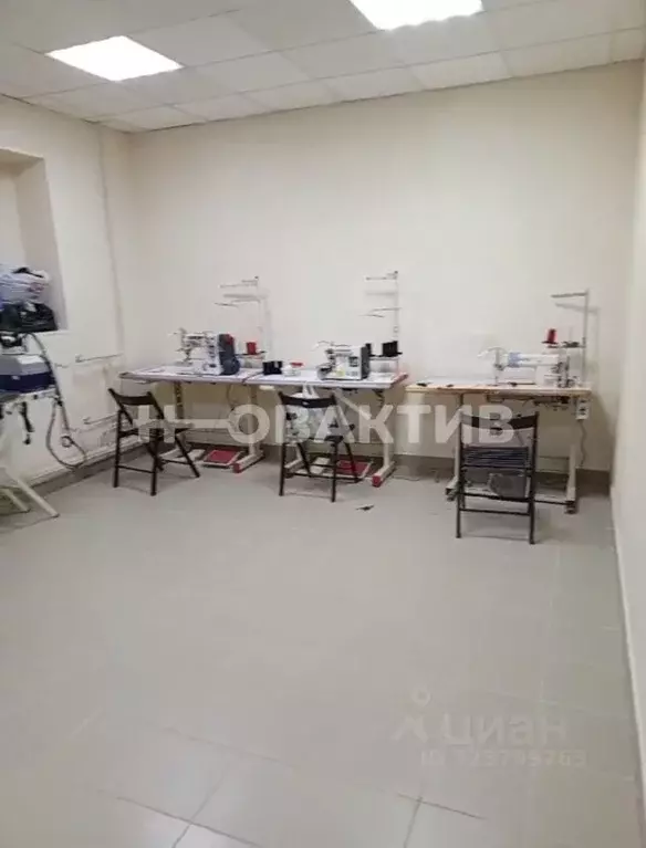 Помещение свободного назначения в Новосибирская область, Новосибирск ... - Фото 2