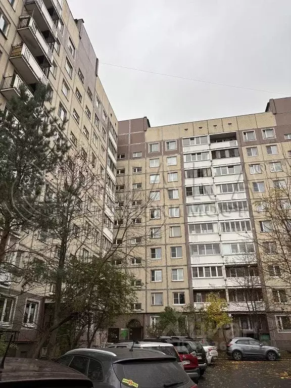 1-к кв. Санкт-Петербург ул. Турку, 27 (30.9 м) - Фото 1