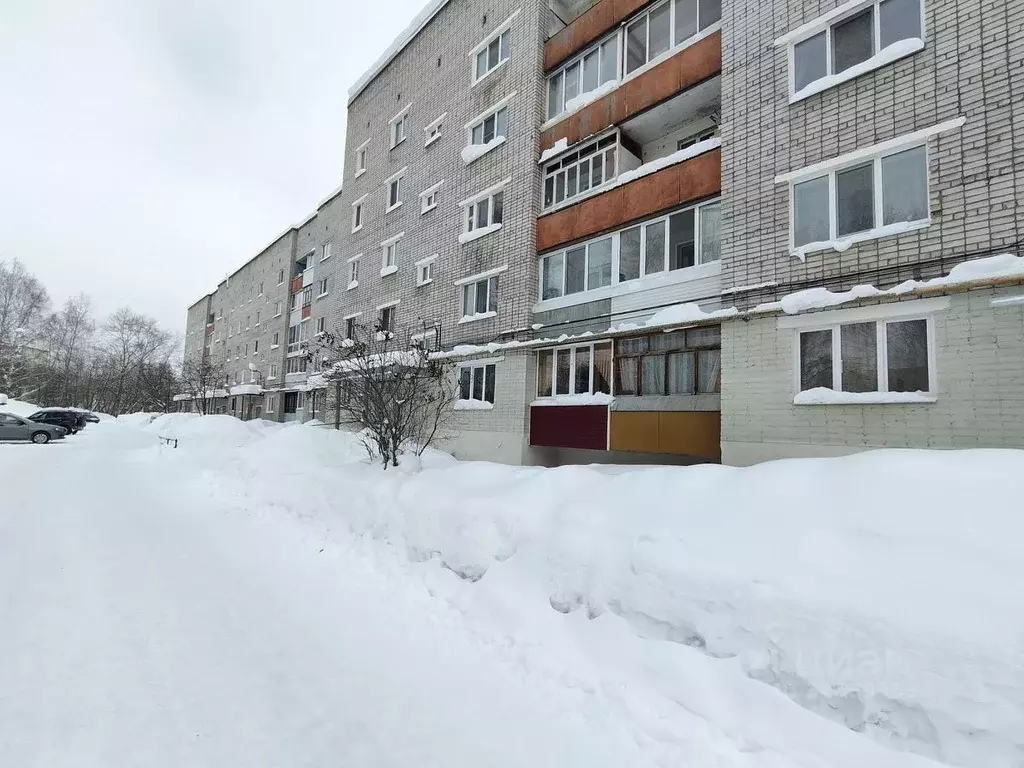 3-к кв. Пермский край, Краснокамск Февральская ул., 6 (60.0 м) - Фото 2