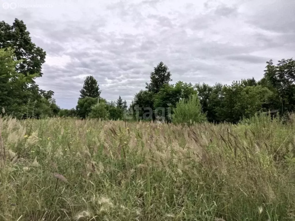 Участок в Хабаровский район, сельское поселение Ильинка, село Ильинка ... - Фото 0