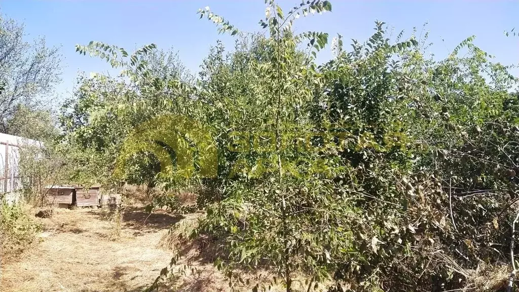 Участок в Краснодарский край, Темрюкский район, пос. Сенной Набережная ... - Фото 1