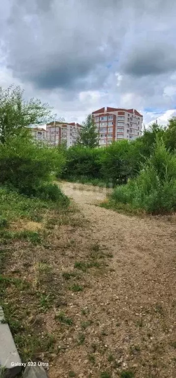 Участок в Амурская область, Благовещенский район, с. Чигири ул. ... - Фото 0