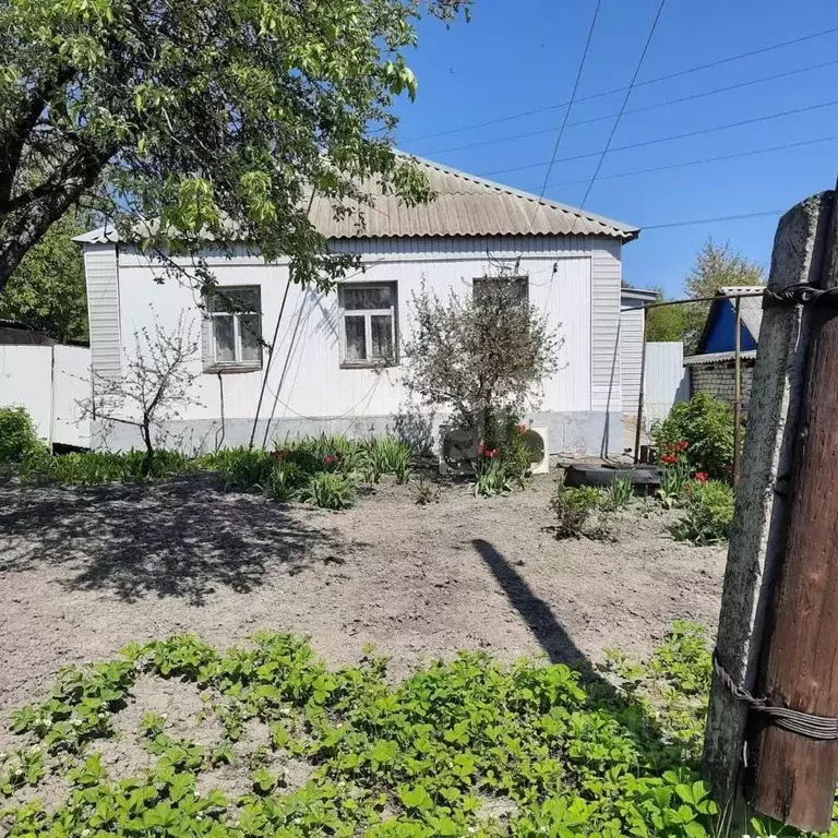 Дом в Белгородская область, Губкин пер. Ударников (48 м) - Фото 1