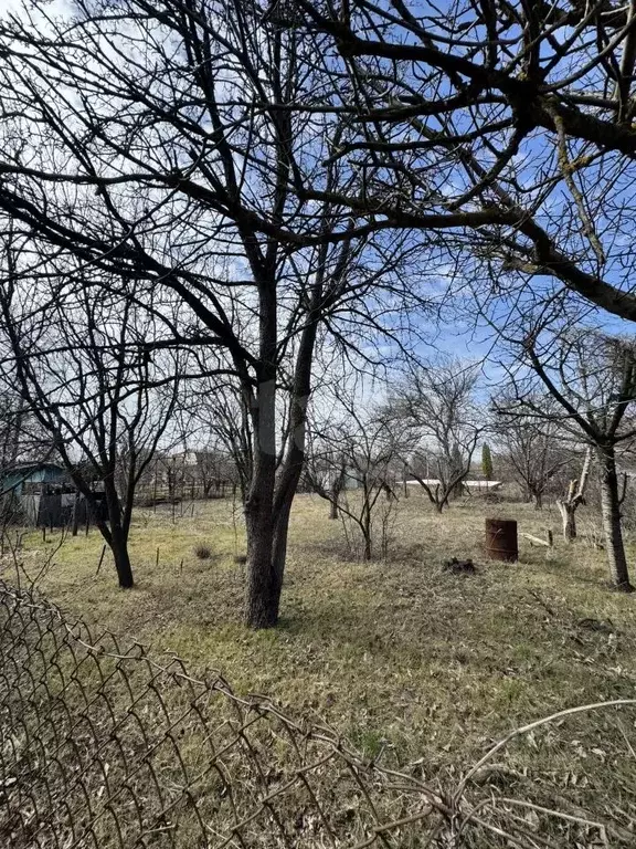 Участок в Ростовская область, Новочеркасск Малинка СТ, 150 (6.28 сот.) - Фото 1