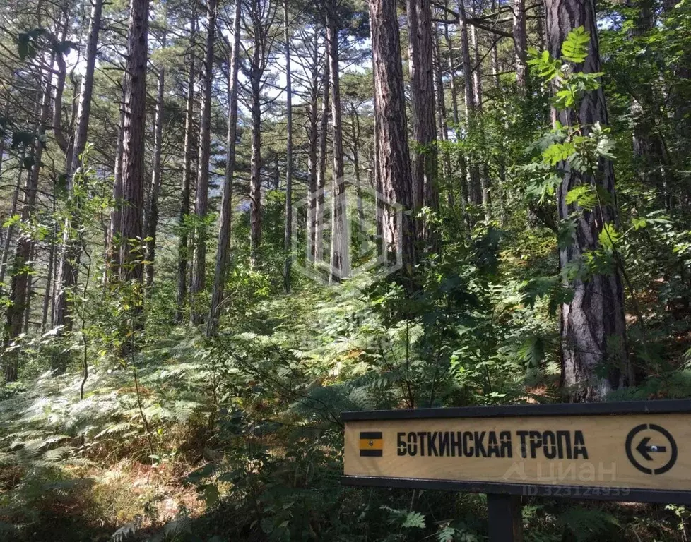 Участок в Крым, Ялта ул. Кирова (10.0 сот.) - Фото 1