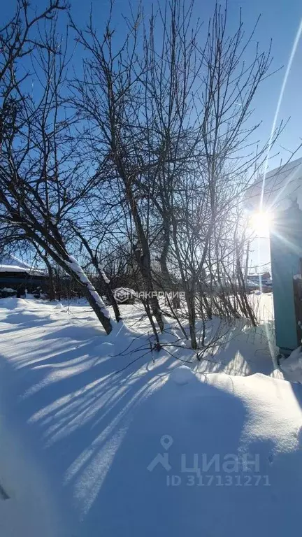 Дом в Новосибирская область, Новосибирский район, с. Раздольное ... - Фото 0