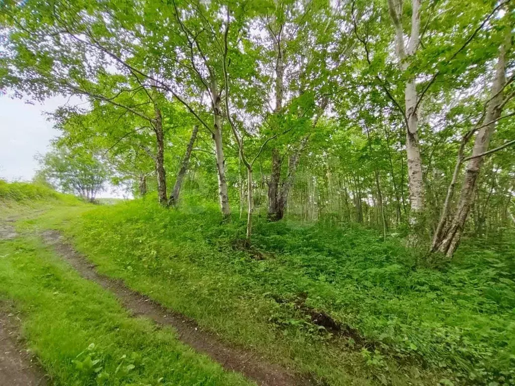 Участок в Камчатский край, Елизовский муниципальный округ, пос. ... - Фото 1