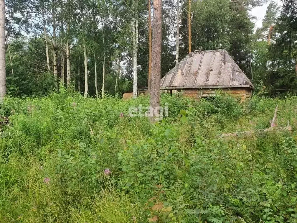 дом в ленинградская область, приозерский район, ларионовское с/пос, . - Фото 0