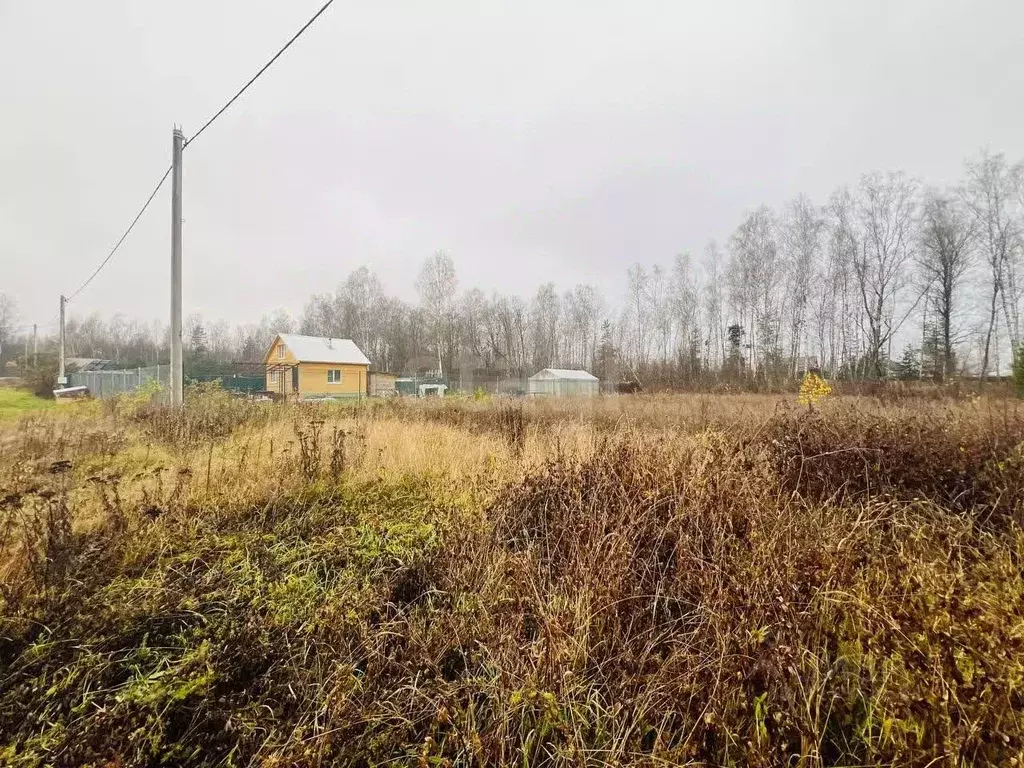 Участок в Владимирская область, Петушинский муниципальный округ, ... - Фото 1