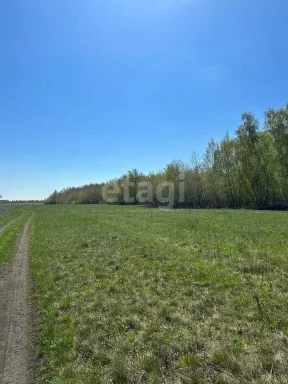 Участок в Челябинская область, Красноармейский район, Лазурненское ... - Фото 0