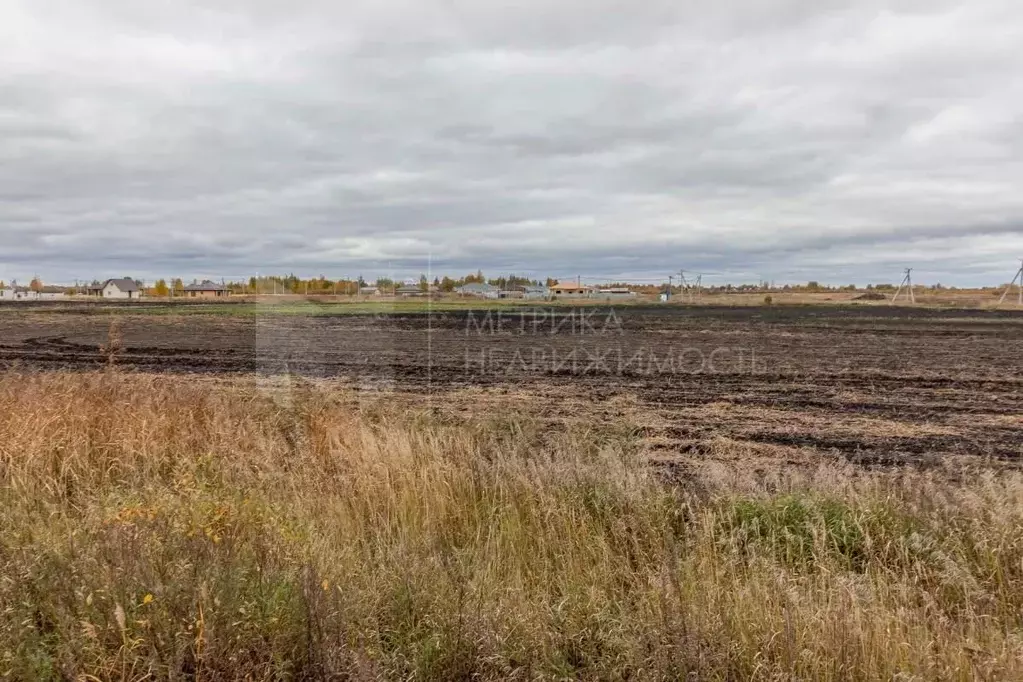 Участок в Тюменская область, Тюменский муниципальный округ, ... - Фото 0