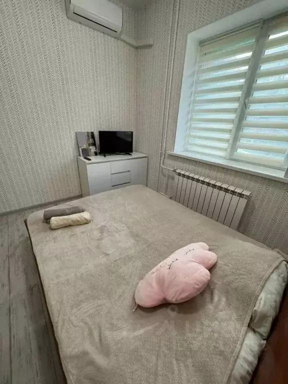 1-к кв. Самарская область, Самара Заводское ш., 59Б (25.0 м) - Фото 2