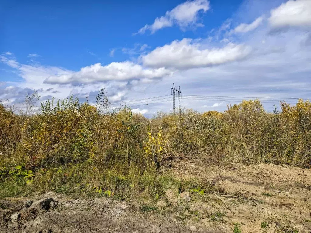 Участок в Тюменская область, Тюмень Малинка садовое товарищество, ул. ... - Фото 1