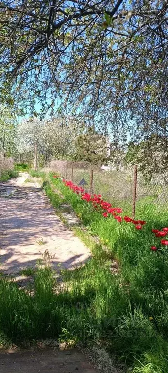 Дом в Ростовская область, Волгодонск Мичуринец СНТ, 1858 (48 м) - Фото 1