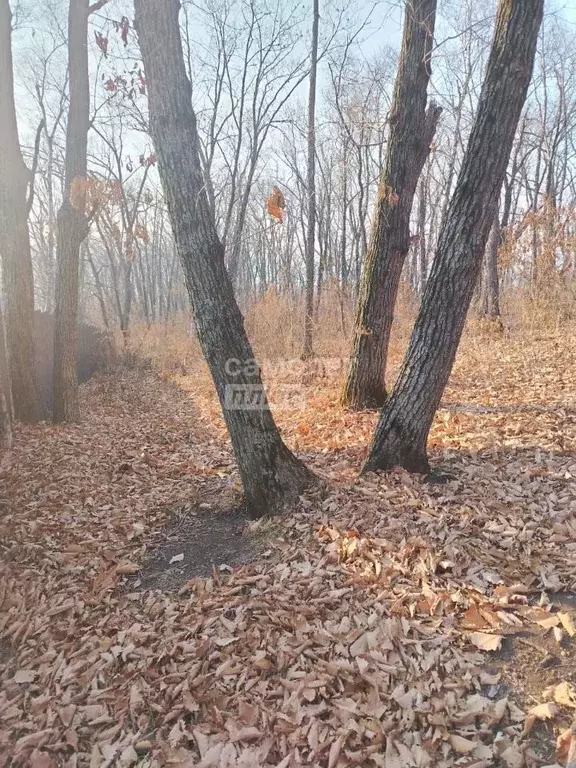 Участок в Приморский край, Владивосток Ломаная ул., 20 (11.85 сот.) - Фото 1