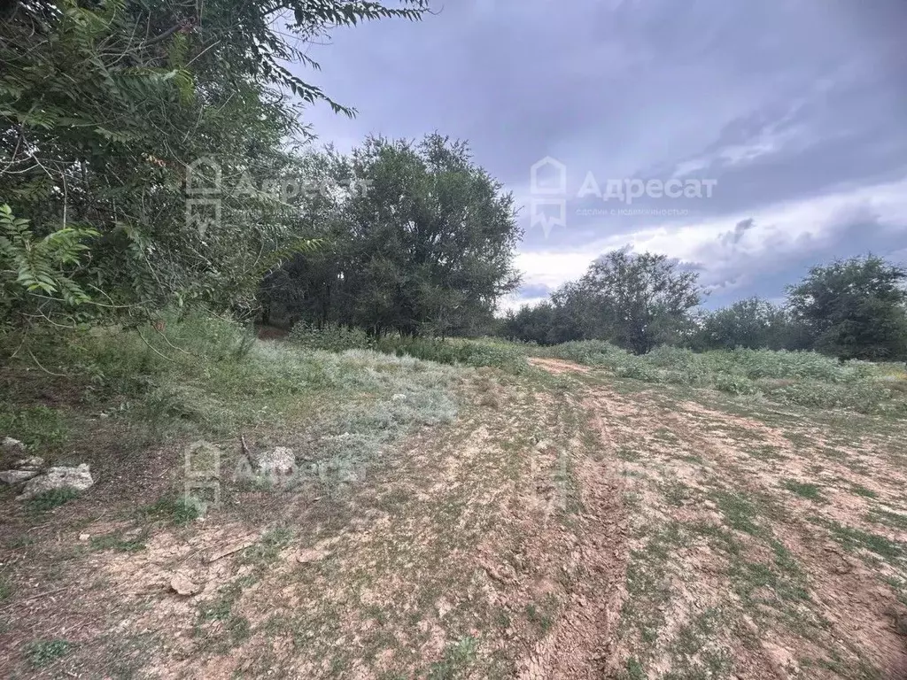 Участок в Волгоградская область, Городищенский район, Царицынское ... - Фото 1