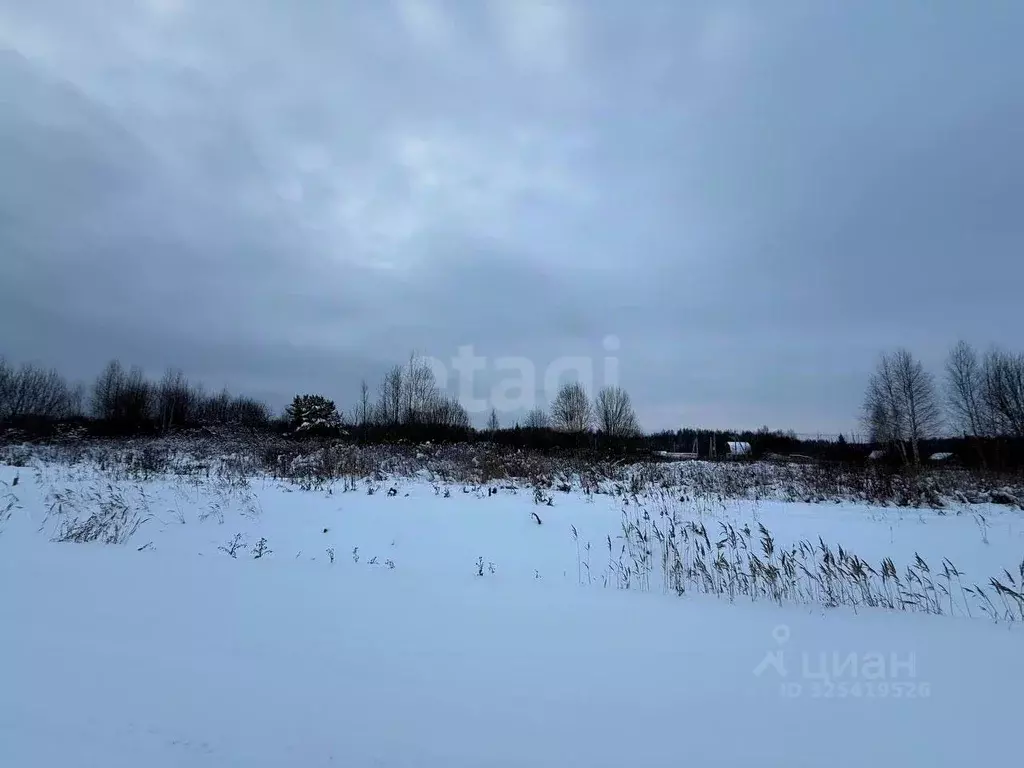 Участок в Костромская область, Кострома Журавлик садоводческое ... - Фото 1