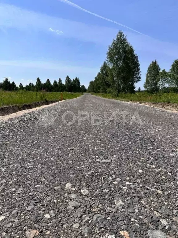 Участок в Тюменская область, Нижнетавдинский район, д. Штакульская  ... - Фото 0