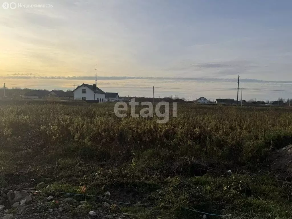 Участок в Зеленоградск, посёлок Клинцовка (6 м) - Фото 2