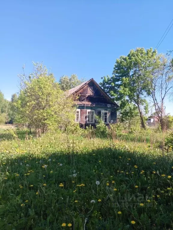 Участок в Псковская область, Гдовский район, Полновская волость, д. ... - Фото 0