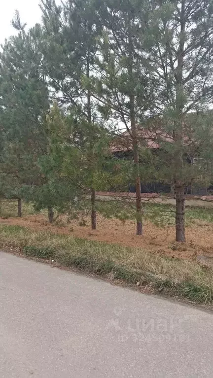 Участок в Тамбовская область, Тамбов Веселая ул. (10.0 сот.) - Фото 1