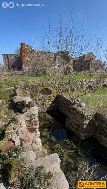 Участок в Калининградская область, Мамоново (600 м) - Фото 2