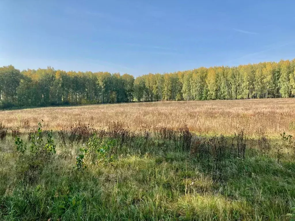 Участок в Свердловская область, Первоуральск ул. Ватутина (11.5 сот.) - Фото 2