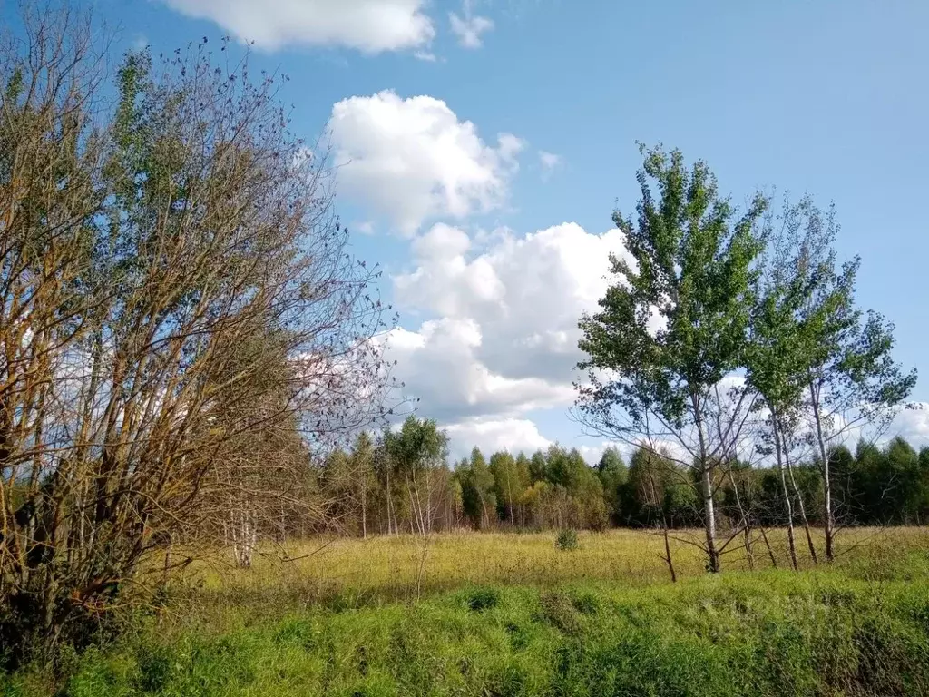 Участок в Московская область, Серпухов городской округ, д. Лисенки  ... - Фото 0