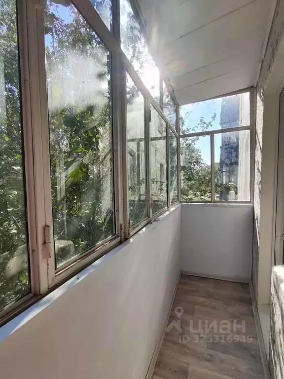 1-к кв. Московская область, Павловский Посад проезд Большой ... - Фото 2