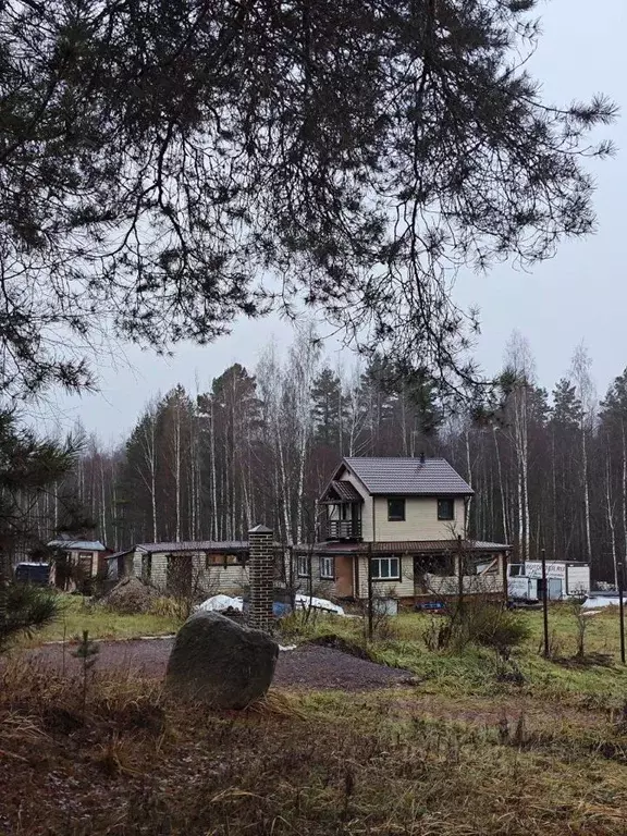 Участок в Ленинградская область, Лужский район, Толмачево городской ... - Фото 0