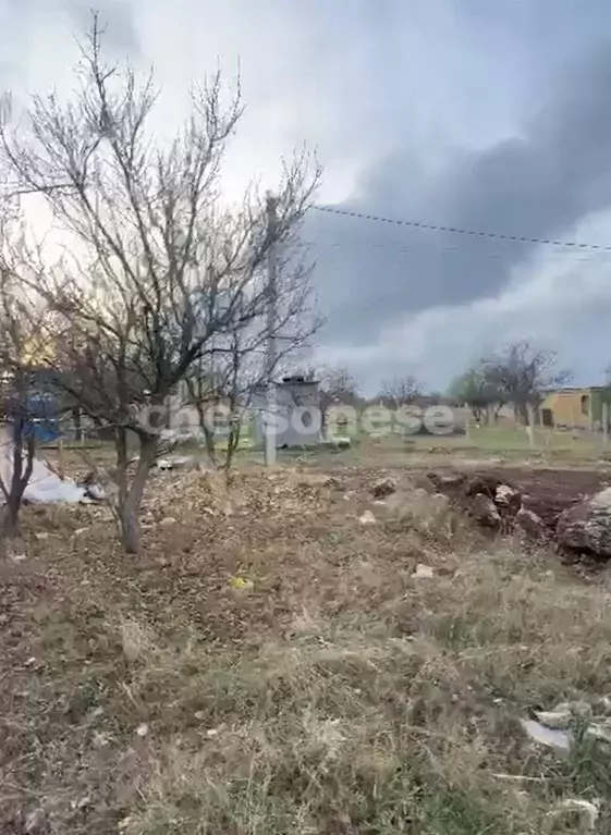 Участок в Архангельская область, Котласский муниципальный округ, ... - Фото 2