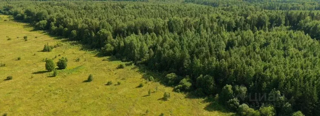 Участок в Ленинградская область, Тосненский район, Федоровское ... - Фото 2