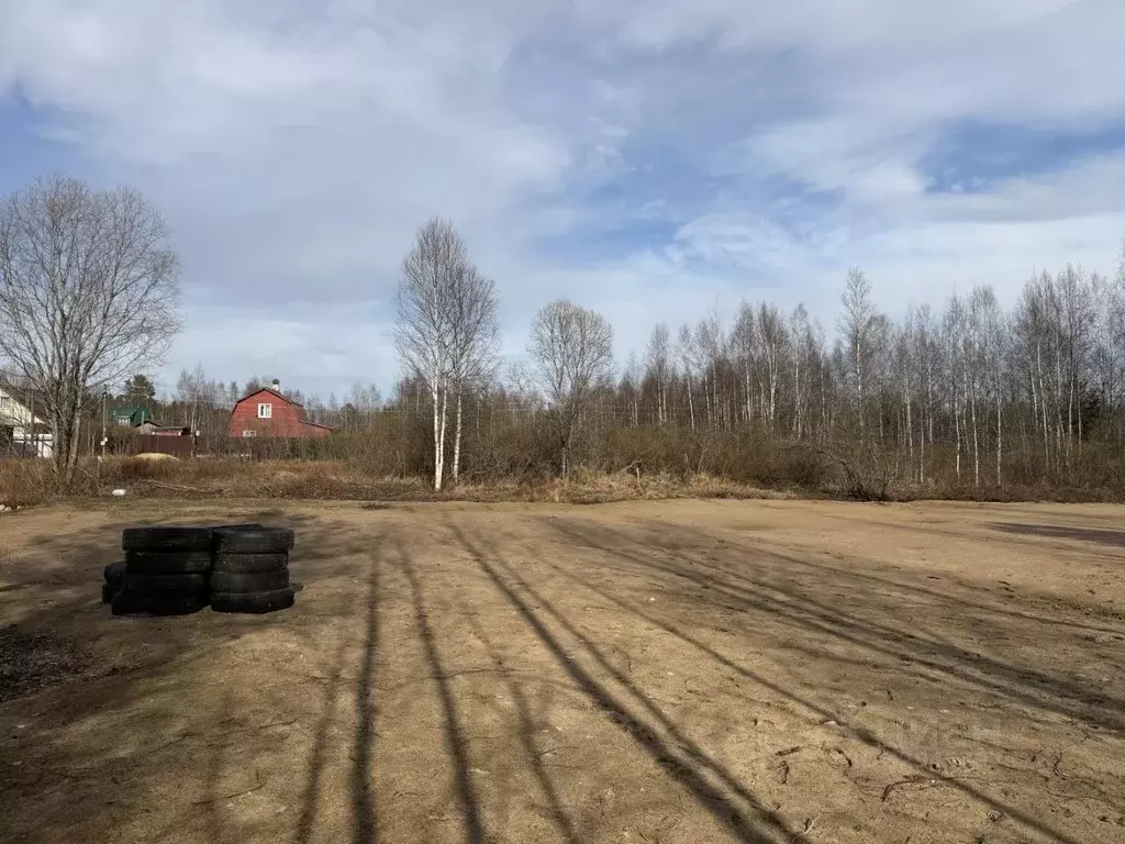 Участок в Ленинградская область, Выборгский район, Рощинское городское ... - Фото 2