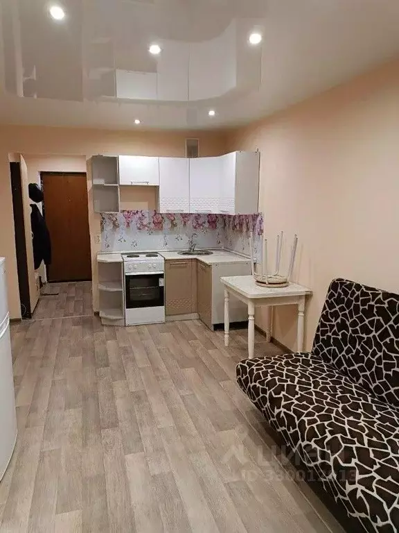 Студия Кировская область, Киров Луговой пер., 1 (24.0 м) - Фото 2