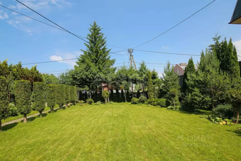 Участок в Калининградская область, Калининград ул. Ивана Сусанина, 89 ... - Фото 1