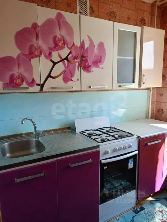 1-к кв. Владимирская область, Владимир ул. Егорова, 10 (27.0 м) - Фото 0