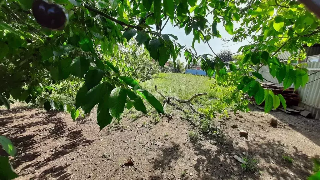 Участок в Краснодарский край, Ейский район, с. Кухаривка Почтовая ул. ... - Фото 2