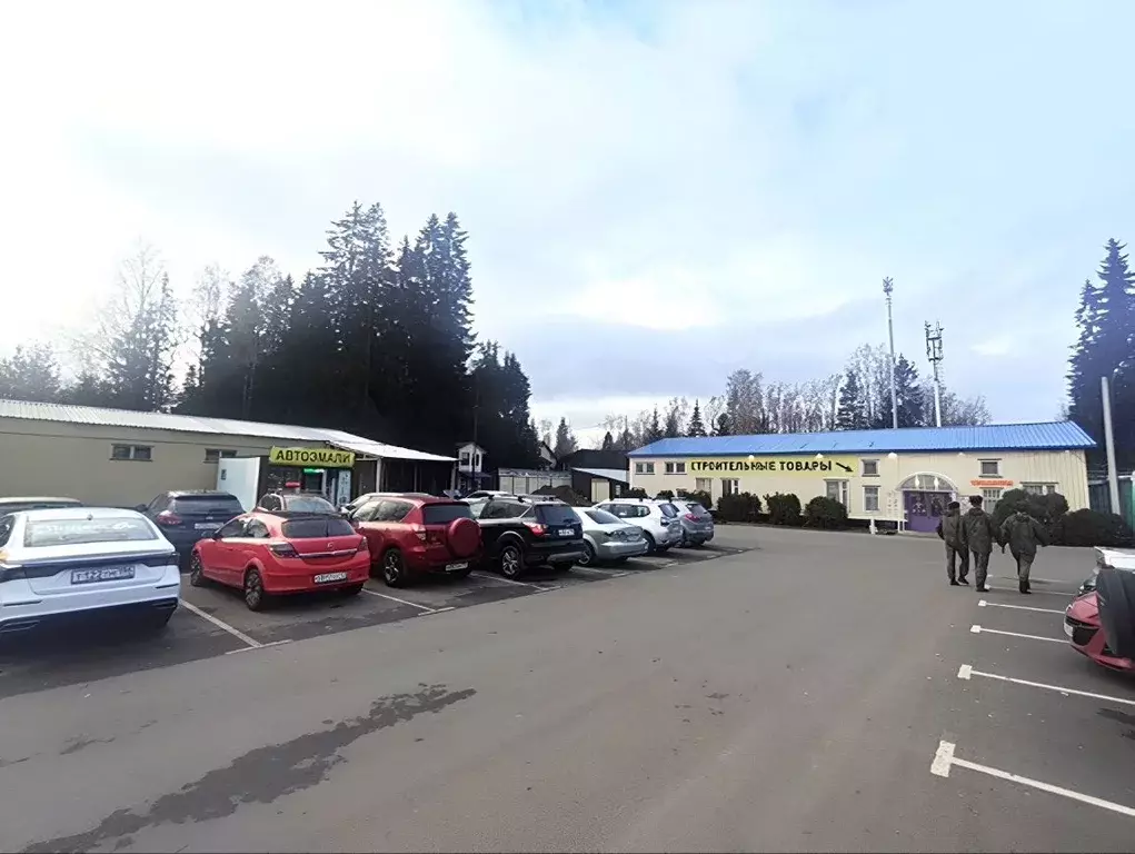 Торговая площадь в Ленинградская область, Сертолово Всеволожский ... - Фото 1