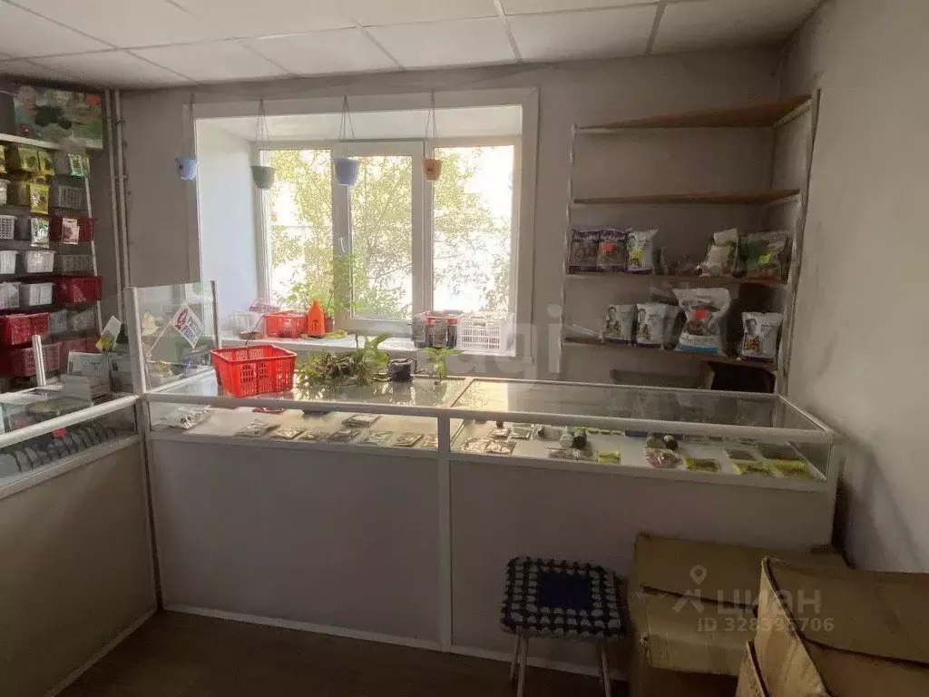 Торговая площадь в Бурятия, Улан-Удэ ул. Терешковой, 20 (31 м) - Фото 1