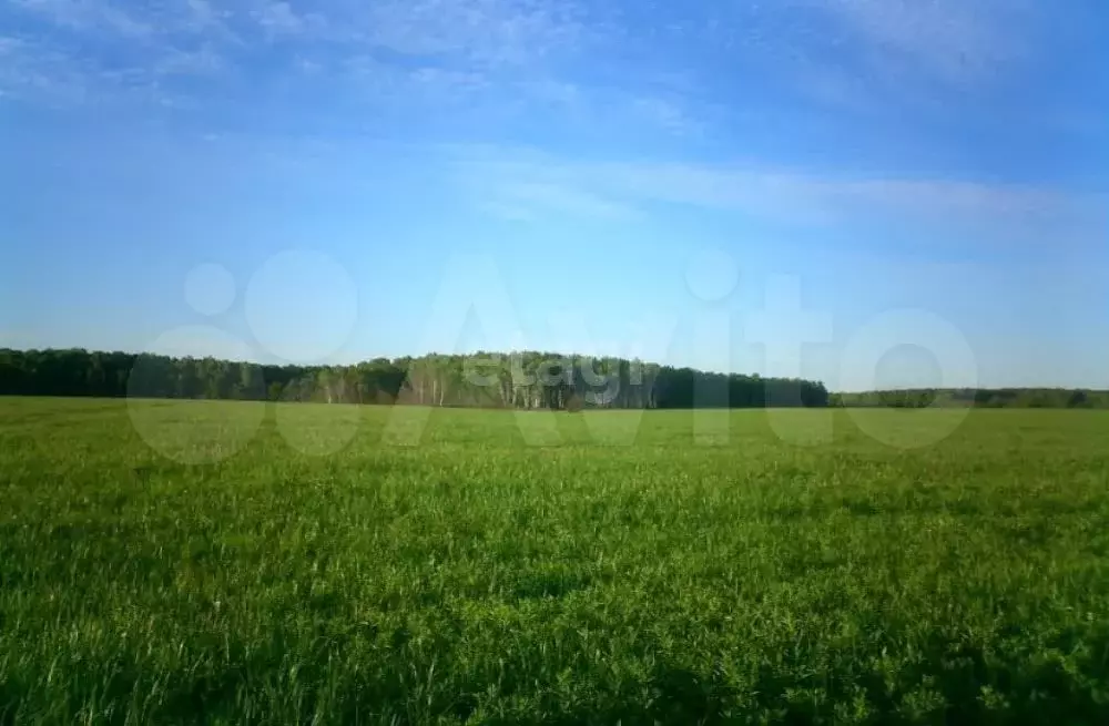 Участок 23,1 сот. (личное подсобное хозяйство (лпх)) - Фото 0