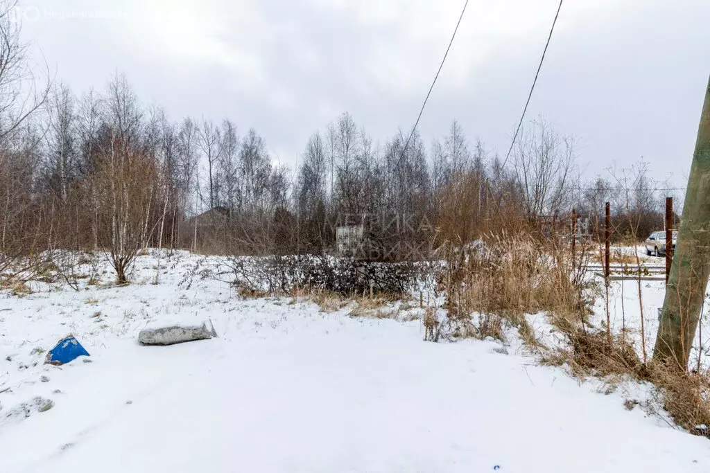 Участок в Тюмень, садовое товарищество Яровское, Флотская улица (12 м) - Фото 1